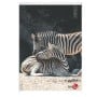 CF 10 QUADERNI ANIMAL A4 80GR R.Q (0110381)