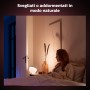 Philips Hue White and Color ambiance IRIS Lampada Smart da Tavolo Argento (929002376703)