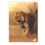 CF 10 QUADERNI ANIMAL A4 80GR R.10F (0112538)
