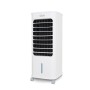 Argoclima Polifemo Bear Raffrescatore evaporativo (398500005)
