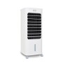 Argoclima Polifemo Bear Raffrescatore evaporativo (398500005)
