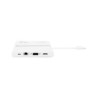 USB-C PORTABLE DOCKING 9-IN-1 WITH HDMI (D31729)