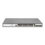 Digitus DN-80221-3 switch di rete Gestito L2 Gigabit Ethernet (10/100/1000) Nero, Grigio (DN-80221-3)