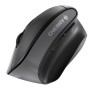 CHERRY MW 4500 mouse Mano destra RF Wireless Ottico 1200 DPI (JW-4500)