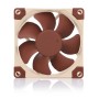 Noctua NF-A8 Case per computer Ventilatore 8 cm Beige, Marrone (NF-A8 5V PWM)