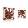 Noctua NF-A8 Case per computer Ventilatore 8 cm Beige, Marrone (NF-A8 5V PWM)
