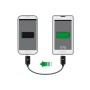 DeLOCK 83570 cavo USB 0,3 m USB 2.0 USB B Nero (83570)