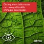Xerox C410 A4 40 ppm Stampante fronte/retro PS3 PCL5e/6 2 vassoi 251 fogli (C410V_DN)