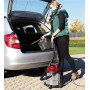 Einhell TC-VC 1815 S 15 L Aspiratore a cilindro Secco e bagnato 1250 W Sacchetto per la polvere (2342390)
