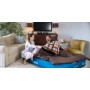 Coleman 2000031638 materasso ad aria Doppio materasso Blu (2000031638)