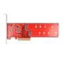 DeLOCK Scheda PCI Express x8 a 2 x interno NVMe M.2 Chiave M 110 mm - Biforcazione - Fattore di forma a basso profilo (90616)