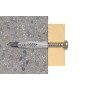 Universaldbel UX 8x50 (hellgrau, 100 Stck) (077869)