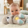 Fisher-Price FXC66 peluche (FXC66)