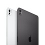 iPad Pro 11" (512 GB) (schwarz, 5G / Gen 5 / 2024) (MVW33NF/A)