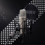 RØDE NT1-A 5th Gen Argento Microfono da studio (NT1GEN5)