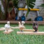 schleich Farm World Chicken Friends (42574)