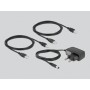 DeLOCK 11492 dati del computer switcher (11492)