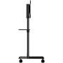StarTech.com MBLTVSTNDEC Supporto TV a parete 177,8 cm (70") Nero (MBLTVSTNDEC)