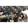 Amewi Daphoenodon modellino radiocomandato (RC) Monster truck Motore elettrico 1:12 (22609)