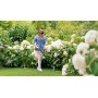 Bosch EasyGrassCut 18V-26 26 cm Batteria Nero, Verde (06008C1C04)