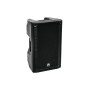 Omnitronic 11038796 altoparlante 2-vie Nero Con cavo e senza cavo 300 W (11038796)