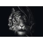 Ashley Rader: Wilderness - Tiger, Im Zeichen der Freiheit (1000 Teile) (58541)