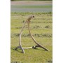 Globo Stand (holz) (AZ-4013000)