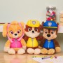 PAW Patrol Marshall Take Along Buddy (6071108)