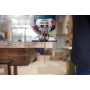 Bosch 2 608 636 225 lama per sega a gattuccio, sega a traforo e sega universale (2608636225)