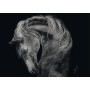 Ashley Rader: Power - Pferd, Im Zeichen der Strke (1000 Teile) (58543)
