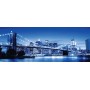 Puzzle Panorama - Leuchtendes New York (1000 Teile) (12000438)