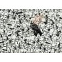 Puzzle Challenge Star Wars (1000 Teile) (12000458)