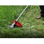 Benzin-Sense GC-BC 25/1 I AS (rot/schwarz) (3401957)