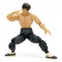 Street Fighter ll - Fei-Long (253252027)