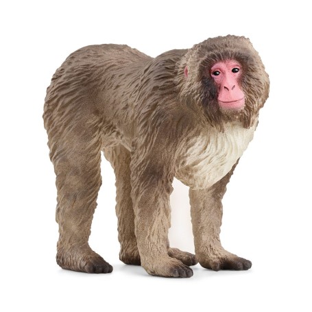 schleich WILD LIFE 14871 action figure giocattolo