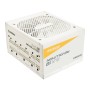 Enermax Revolution D.F.12 alimentatore per computer 850 W 20+4 pin ATX ATX Bianco (ETV850G-W)