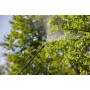 Rckenspritzgert 12 L Plus (trkis) (11142-20)
