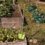 MyFirst Fiskars Spaten (grn) (1001420)