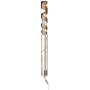 Shark HD424SLEU messa in piega Multistyler Caldo Champagne 1400 W 2,44 m (0622356270595)