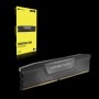 DIMM 64 GB DDR5-6600 (2x 32 GB) Dual-Kit (schwarz, CMK64GX5M2B6600C32, Vengeance DDR5, INTEL XMP)