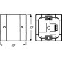 Busch-Jaeger 6125/01-84 Bianco (2CKA006115A0182)