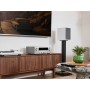 Denon DRA-900H 100 W 2.2 canali Stereo Argento (DRA900HSPE2)