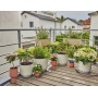 Micro-Drip-System Tropfbewsserung Set Balkon, 15 Pflanzen (schwarz/grau, Modell 2023) (13401-20)
