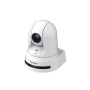 Panasonic AW-UE80 Cupola Telecamera di sicurezza IP Interno 1920 x 1080 Pixel Soffitto/muro (AW-UE80WEJ)