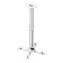 Kindermann Premium 60 supporto per proiettore Soffitto Bianco (7450000061)