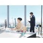 Philips DPM6700/03 sistema di trascrizione/traduzione Unità di comando a pedale