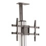 StarTech.com Carrello TV per Schermo da 32" a 75" - Regolazione Altezza One-Touch (STNDMTV70)