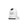 Panasonic AW-UE50WEJ telecamera di sorveglianza Cupola Telecamera di sicurezza IP Interno 1920 x 1080 Pixel Soffitto/muro