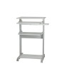 ROLINE PC Standing Workstation Forma rettangolare Metallo, Plastica Grigio, Bianco (17.02.1545)