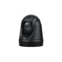 AVer DL30 webcam 2 MP 1920 x 1080 Pixel USB Nero (61S5000000AC)